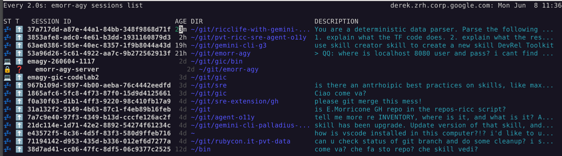 Emorr-agy showing my sessions in my computer