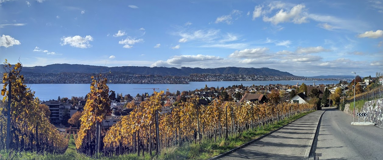 vignoble à Zurich